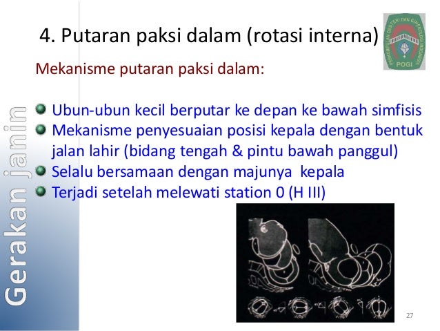 Fisiologi persalinan dan nifas normal