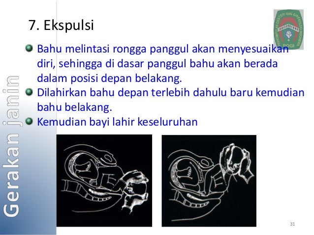 Fisiologi persalinan dan nifas normal