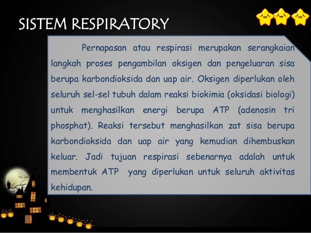 Fisiologi Sistem Respiratori