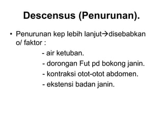 Descensus (Penurunan).
• Penurunan kep lebih lanjutdisebabkan
o/ faktor :
- air ketuban.
- dorongan Fut pd bokong janin.
- kontraksi otot-otot abdomen.
- ekstensi badan janin.
 