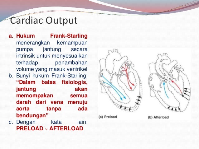 Fisiologi sistem kardiovaskular