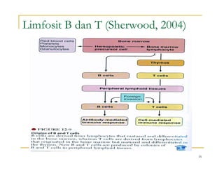 Comprehensive Overview of the Human Immune System and Body Defense ...