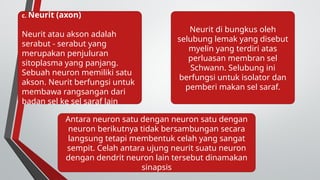 FISIOLOGI SISTEM SARAF PUSAT DAN TEPI.pptx