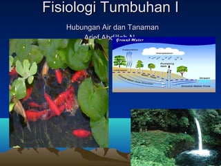 Fisiologi Tumbuhan I
   Hubungan Air dan Tanaman
       Arief Abdillah N.
 