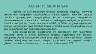 Semua sel aktif melakukan respirasi sepanjang hidupnya, menyerap
oksigen dan melepaskan karbondioksida. Namun respirasi lebih dari sekedar
pertukaran gas-gas, yaitu dengan proses oksidasi reduksi yang mengoksidasi
senyawa-senyawa menjadi karbondioksida, sedangkan oksigen yang diserap
direduksi menjadi air. Proses utamanya adalah mobilitas senyawa organik dan
oksidasi senyawa-senyawa tersebut secara terkendali untuk menghasilkan energi
bagi pemeliharaan dan perkembangan tumbuhan.
Laju proses-proses metabolisme ini dipengaruhi oleh faktor-faktor
lingkungan mikro di sekitar tumbuhan tersebut. Fotosintesis dan respirasi
merupakan proses metabolisme dasar yang terjadi di dalam sel hidup. Dengan
demikian dilanjutkan membahas tahapan fotosintesis dan respirasi meliputi
glikolisi, daur krebs, Quotient aerob dan anaerob serta prose ATP.
DASAR PEMBAHASAN
 