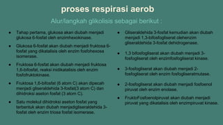 Alur/langkah glikolisis sebagai berikut :
proses respirasi aerob
● Tahap pertama, glukosa akan diubah menjadi
glukosa 6-fosfat oleh enzimhexokinase.
● Glukosa 6-fosfat akan diubah menjadi fruktosa 6-
fosfat yang dikatalisis oleh enzim fosfohexosa
isomerase.
● Fruktosa 6-fosfat akan diubah menjadi fruktosa
1,6-bifosfat, reaksi inidikatalisis oleh enzim
fosfofruktokinase.
● Fruktosa 1,6-bifosfat (6 atom C) akan dipecah
menjadi gliseraldehida 3-fosfat(3 atom C) dan
dihidroksi aseton fosfat (3 atom C).
● Satu molekul dihidroksi aseton fosfat yang
terbentuk akan diubah menjadigliseraldehida 3-
fosfat oleh enzim triosa fosfat isomerase.
● Gliseraldehida 3-fosfat kemudian akan diubah
menjadi 1,3-bifosfogliserat olehenzim
gliseraldehida 3-fosfat dehidrogenase.
● 1,3 bifosfogliserat akan diubah menjadi 3-
fosfogliserat oleh enzimfosfogliserat kinase.
● 3-fosfogliserat akan diubah menjadi 2-
fosfogliserat oleh enzim fosfogliseratmutase.
● 2-fosfogliserat akan diubah menjadi fosfoenol
piruvat oleh enzim enolase.
● FruktoFosfoenolpiruvat akan diubah menjadi
piruvat yang dikatalisis oleh enzimpiruvat kinase.
 