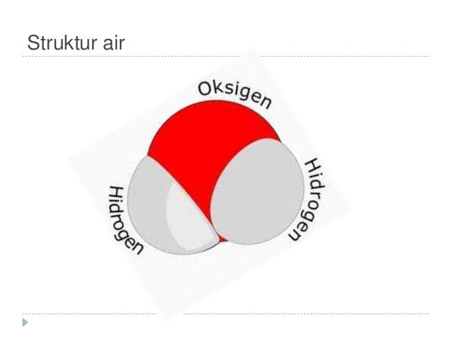 Fisiologi Tumbuhan New