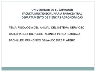 UNIVERSIDAD DE EL SALVADOR
FACULTA MULTIDISCIPLINARIA PARACENTRAL
DEPARTAMENTO DE CIENCIAS AGRONOMICAS
TEMA: FISIOLOGIA DEL ANIMAL DEL SISTEMA NERVIOSO
CATEDRATICO: DR.PEDRO ALONSO PEREZ BARRAZA
BACHILLER: FRANCISCO OSWALDO DÍAZ PLATERO
 
