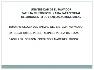 UNIVERSIDAD DE EL SALVADOR
FACULTA MULTIDISCIPLINARIA PARACENTRAL
DEPARTAMENTO DE CIENCIAS AGRONOMICAS
TEMA: FISIOLOGIA DEL ANIMAL DEL SISTEMA NERVIOSO
CATEDRATICO: DR.PEDRO ALONSO PEREZ BARRAZA
BACHILLER: GERSON EDENILSON MARTINEZ MUÑOZ
 