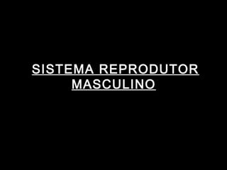 SISTEMA REPRODUTOR
     MASCULINO
 