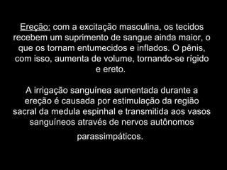 Ereção: com a excitação masculina, os tecidos
recebem um suprimento de sangue ainda maior, o
  que os tornam entumecidos e inflados. O pênis,
 com isso, aumenta de volume, tornando-se rígido
                    e ereto.

   A irrigação sanguínea aumentada durante a
   ereção é causada por estimulação da região
sacral da medula espinhal e transmitida aos vasos
    sanguíneos através de nervos autônomos
               parassimpáticos.
 
