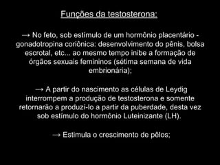 Funções da testosterona:

 → No feto, sob estímulo de um hormônio placentário -
gonadotropina coriônica: desenvolvimento do pênis, bolsa
  escrotal, etc... ao mesmo tempo inibe a formação de
   órgãos sexuais femininos (sétima semana de vida
                       embrionária);

     → A partir do nascimento as células de Leydig
  interrompem a produção de testosterona e somente
retornarão a produzí-lo a partir da puberdade, desta vez
      sob estímulo do hormônio Luteinizante (LH).

          → Estimula o crescimento de pêlos;
 