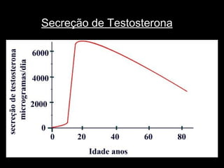 Secreção de Testosterona
 