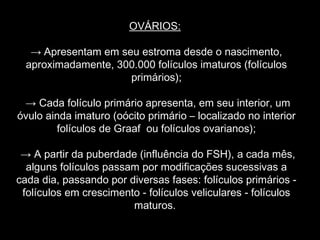 OVÁRIOS:

   → Apresentam em seu estroma desde o nascimento,
  aproximadamente, 300.000 folículos imaturos (folículos
                     primários);

 → Cada folículo primário apresenta, em seu interior, um
óvulo ainda imaturo (oócito primário – localizado no interior
        folículos de Graaf  ou folículos ovarianos);

 → A partir da puberdade (influência do FSH), a cada mês,
  alguns folículos passam por modificações sucessivas a
cada dia, passando por diversas fases: folículos primários -
 folículos em crescimento - folículos veliculares - folículos
                        maturos.
 