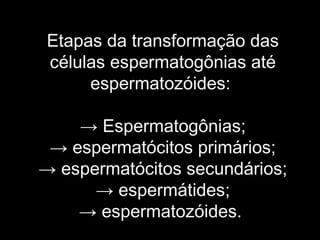 Etapas da transformação das
células espermatogônias até
     espermatozóides:

    → Espermatogônias;
 → espermatócitos primários;
→ espermatócitos secundários;
      → espermátides;
    → espermatozóides.
 