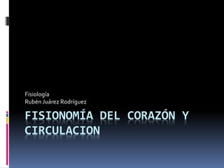 FISIONOMÍA DEL CORAZÓN Y
CIRCULACION
Fisiología
Rubén Juárez Rodríguez
 