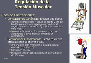 Regulación de la  Tensión Muscular Tipos de Contracciones: Contracciones Isotónicas:  Existen dos tipos:  Isotónica concéntrica: Músculo se acorta y tira del tendón para producir movimiento y reducir el ángulo en una articulación. Ejm. (tomar un objeto de la mesa) Isotónica Excéntrica: El músculo acortado se alarga poco a poco mientras continúa en contracción. Contracciones Isométricas:  Estabiliza ciertas articulaciones al mover otras. Importantes para mantener la postura, sujetar objetos en posición fija. Consumen energía Producen tensión considerables sin acortamiento del músculo. 09/19/11 