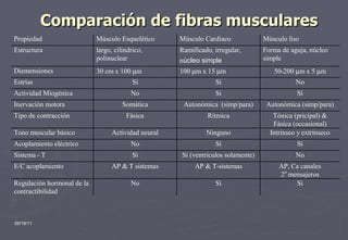 Comparación de fibras musculares 09/19/11 