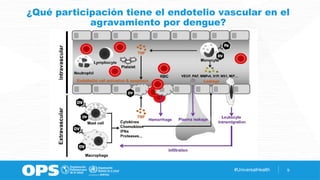 #UniversalHealth 9
¿Qué participación tiene el endotelio vascular en el
agravamiento por dengue?
 