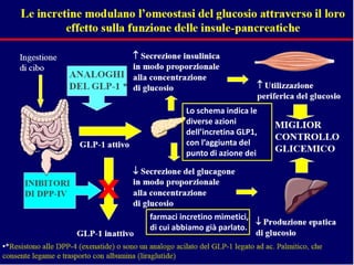 Azioni delle Incretine
GIP
GLP-1
 Svuotamento gastrico
 Secrezione acida
 Appetito
 Senso sazietà
 Introito acqua
 I...