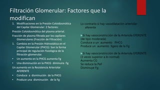 Filtración Glomerular: Factores que la
modifican
Lo contrario si hay vasodilatación arteriolar
aferente
Si hay vasoconstricción de la Arteriola EFERENTE
(de tipo moderada)
Conduce a un aumento PHCG
Produce un aumento ligero de la Fg
Si hay vasoconstricción de la Arteriola EFERENTE
(3 veces superior a lo normal)
Aumenta CG
Se reduce la PeF
Disminuye Fg
1. Modificaciones en la Presión Coloidosmótica
del Capilar Glomerular: 2 factores:
Presión Coloidosmótica del plasma arterial.
Fracción de plasma filtrada por los capilares
Glomerulares (Fracción de Filtración)
1. Cambios en la Presión Hidrostática en el
Capilar Glomerular (PHCG): Son la forma
principal de regulación fisiológica de la
filtración glomerular.
• Un aumento en la PHCG aumenta Fg
• Una disminución en la PHCG diminuira Fg
Un aumento en la Resistencia Arteriolar
AFERENTE
• Conduce a disminución de la PHCG
• Produce una disminución de la Fg
 