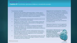 fisiopato intro.pptx