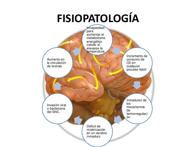 Fisiopatología cf
