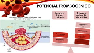 POTENCIAL TROMBOGÉNICO 
• Trombos pequeños se reabsorben más 
crecimiento de músculo liso y sedimento 
fibroso 
• Alteración de cubierta fibrosa  coágulo 
obstructivo 
• Depende de balance entre coagulación y 
fibrinólisis 
Favorece 
trombo 
oclusivo 
Favorece 
reabsorción 
del trombo 
Estabilida 
d de 
cubierta 
fibrosa 
Potencial 
trombogé 
nico 
Manifestaciones 
Clínicas 
 