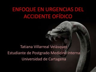 ENFOQUE EN URGENCIAS DEL
      ACCIDENTE OFÍDICO




       Tatiana Villarreal Velásquez
Estudiante de Postgrado Medicina Interna
        Universidad de Cartagena
 
