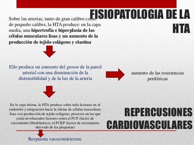 Fisiopatología de la hipertensión arterial Fisiopatología de la hipertensión arterial