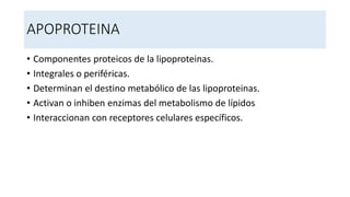 APOPROTEINA
• Componentes proteicos de la lipoproteinas.
• Integrales o periféricas.
• Determinan el destino metabólico de las lipoproteinas.
• Activan o inhiben enzimas del metabolismo de lípidos
• Interaccionan con receptores celulares específicos.
 