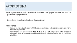 APOPROTEINA
• Las Aporoteimas no solamente cumplen un papel estructural en las
partículas lipoproteicas.
• Intervienen en el metabolismo liporpoteico
• Funciones:
• Actúan como activadoras e inhibidoras de enzimas e interaccionan con receptores
celulares específicos.
• Actualmente son conocidas las Apo: A, B, C, D, E, F y G. Algunas de estas presentan
isoformas (que se indican con números romanos) y se diferencian por su contenido
glucídico.
 