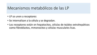 Mecanismos metabólicos de las LP
• LP se unen a receptores
• Se internalizan a la célula y se degradan.
• Los receptores están en hepatocitos, células de tejidos extrahepáticos
como fibroblastos, mmonocitos y células musculares lisas.
 