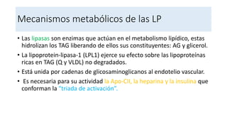Mecanismos metabólicos de las LP
• Las lipasas son enzimas que actúan en el metabolismo lipídico, estas
hidrolizan los TAG liberando de ellos sus constituyentes: AG y glicerol.
• La lipoprotein-lipasa-1 (LPL1) ejerce su efecto sobre las lipoproteínas
ricas en TAG (Q y VLDL) no degradados.
• Está unida por cadenas de glicosaminoglicanos al endotelio vascular.
• Es necesaria para su actividad la Apo-CII, la heparina y la insulina que
conforman la “triada de activación”.
 