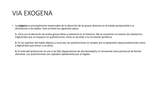 VIA EXOGENA
• La exógena es principalmente responsable de la absorción de las grasas dietarias en el estado postprandial y su
distribución a los tejidos. Esta vía tiene los siguientes pasos:
1. Inicia con la absorción de acidos grasos libres y colesterol en el intestino. Allí se convierten en esteres de colesterol y
triglicéridos que se empacan en quilomicrones. Estos se secretan a la circulación periférica
2. En los capilares del tejido adiposo y muscular, los quilomicrones se rompen por la lipoprotein lipasa produciendo mono
y diglicéridos que entran a la célula.
3. El resto del quilomicron se une a las HDL (lipoproteinas de alta densidad) y el remanente tiene portencial de formar
ateromas. Los quilomicrones son captados rapidamente por el hígado.
 