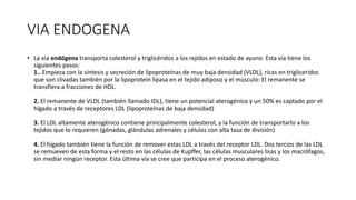 VIA ENDOGENA
• La vía endógena transporta colesterol y triglicéridos a los rejidos en estado de ayuno. Esta vía tiene los
siguientes pasos:
1.. Empieza con la síntesis y secreción de lipoproteínas de muy baja densidad (VLDL), ricas en trigliceridos
que son clivadas también por la lipoprotein lipasa en el tejido adiposo y el músculo: El remanente se
transfiera a fracciones de HDL.
2. El remanente de VLDL (también llamado IDL), tiene un potencial aterogénico y un 50% es captado por el
hígado a través de receptores LDL (lipoproteínas de baja densidad)
3. El LDL altamente aterogénico contiene principalmente colesterol, y la función de transportarlo a los
tejidos que lo requieren (gónadas, glándulas adrenales y células con alta tasa de división)
4. El hígado también tiene la función de remover estas LDL a través del receptor LDL. Dos tercios de las LDL
se remueven de esta forma y el resto en las células de Kupffer, las células musculares lisas y los macrófagos,
sin mediar ningún receptor. Esta última vía se cree que participa en el proceso aterogénico.
 