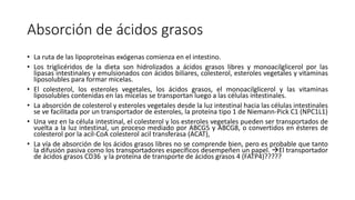 Absorción de ácidos grasos
• La ruta de las lipoproteínas exógenas comienza en el intestino.
• Los triglicéridos de la dieta son hidrolizados a ácidos grasos libres y monoacilglicerol por las
lipasas intestinales y emulsionados con ácidos biliares, colesterol, esteroles vegetales y vitaminas
liposolubles para formar micelas.
• El colesterol, los esteroles vegetales, los ácidos grasos, el monoacilglicerol y las vitaminas
liposolubles contenidas en las micelas se transportan luego a las células intestinales.
• La absorción de colesterol y esteroles vegetales desde la luz intestinal hacia las células intestinales
se ve facilitada por un transportador de esteroles, la proteína tipo 1 de Niemann-Pick C1 (NPC1L1)
• Una vez en la célula intestinal, el colesterol y los esteroles vegetales pueden ser transportados de
vuelta a la luz intestinal, un proceso mediado por ABCG5 y ABCG8, o convertidos en ésteres de
colesterol por la acil-CoA colesterol acil transferasa (ACAT),
• La vía de absorción de los ácidos grasos libres no se comprende bien, pero es probable que tanto
la difusión pasiva como los transportadores específicos desempeñen un papel. El transportador
de ácidos grasos CD36 y la proteína de transporte de ácidos grasos 4 (FATP4)?????
 