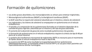 Formación de quilomicrones
• Los ácidos grasos absorbidos y los monoacilgliceroles se utilizan para sintetizar triglicéridos.
• Monoacilglicerol aciltransferasa (MGAT) y la diacilglicerol transferasa (DGAT).
• la ACAT esterifica la mayoría del colesterol absorbido por el intestino a ésteres de colesterol.
• Los triglicéridos y los ésteres de colesterol se empaquetan en quilomicrones en el retículo
endoplásmico.
• El tamaño y la composición de los quilomicrones formados en el intestino dependen de la
cantidad de grasa ingerida y absorbida por el intestino y del tipo de grasa absorbida.
• El aumento de la absorción de grasa da como resultado quilomicrones más grandes.
• La formación de quilomicrones en el retículo endoplásmico requiere la síntesis de Apo B-48 por
parte de la célula intestinal
• La proteína de transferencia microsomal de triglicéridos (MTP) es necesaria para el movimiento
de lípidos desde el retículo endoplásmico hasta la Apo B-48.
• La ausencia de MTP da como resultado la incapacidad para formar quilomicrones
(Abetalipoproteinemia). La lomitapida inhibe la función MTP y se usa para tratar pacientes con
hipercolesterolemia familiar homocigota.
 