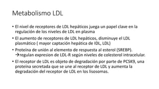 Metabolismo LDL
• El nivel de receptores de LDL hepáticos juega un papel clave en la
regulación de los niveles de LDL en plasma
• El aumento de receptores de LDL hepáticos, disminuye el LDL
plasmático ( mayor captación hepática de IDL, LDL)
• Proteína de unión al elemento de respuesta al esterol (SREBP).
regulan expresion de LDL-R según niveles de colesterol intracelular.
• El receptor de LDL es objeto de degradación por parte de PCSK9, una
proteína secretada que se une al receptor de LDL y aumenta la
degradación del receptor de LDL en los lisosomas.
 