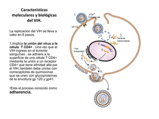 Características
moleculares y biológicas
del VIH.
La replicación del VIH se lleva a
cabo en 8 pasos.
1.Implica la unión del virus a la
célula T CD4+ . Una vez que el
VIH ingreso en el torrente
sanguíneo , se adhiere a la
superficie de una célula T CD4+
mediante la unión a un receptor
CD4+ que tiene afinidad alta por
el VIH, también debe unirse con
correceptores de quimiocinas
que se unen con glucoproteínas
de la envoltura gp 120 y gp41.
•Este el proceso conocido como
adherencia.
 