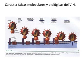 Características moleculares y biológicas del VIH.
 