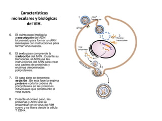 Características
moleculares y biológicas
del VIH.
5. El quinto paso implica la
transcripción del ADN
bicatenario para formar un ARN
mensajero con instrucciones para
formar virus nuevos.
6. El sexto paso comprende la
traducción del ARN . Durante su
transcurso, el ARN usa las
instrucciones del ARN para crear
una cadena de proteínas y
enzimas denominadas
poliproteínas.
7. El paso siete se denomina
escisión . En esta fase la enzima
proteasa corta la cadena de
poliproteínas en las proteínas
individuales que constituirán el
virus nuevo.
8. Durante el octavo paso, las
proteínas y ARN viral se
ensamblan en el virus del VIH
nuevo y se libera desde la célula
T CD4+.
 