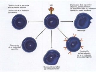 Fisiopatología del vih