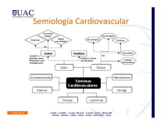 Semiología Cardiovascular
 