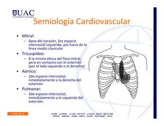 Semiología Cardiovascular
• Mitral:
   – Ápex del corazón, 5to espacio
     intercostal izquierdo, por fuera de la
     línea medio clavicular
• Tricuspídeo:
   – A la misma altura del foco mitral,
     pero en contacto con el esternón
     (por el lado izquierdo o el derecho)
• Aórtico:
   – 2do espacio intercostal,
     inmediatamente a la derecha del
     esternón.
• Pulmonar:
   – 2do espacio intercostal,
     inmediatamente a la izquierda del
     esternón.
 