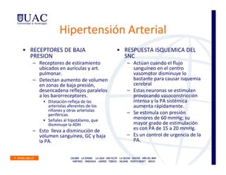 Hipertensión Arterial
• RECEPTORES DE BAJA                   • RESPUESTA ISQUEMICA DEL
  PRESION                                SNC
   – Receptores de estiramiento           – Actúan cuando el flujo
     ubicados en aurículas y art.           sanguíneo en el centro
     pulmonar.                              vasomotor disminuye lo
   – Detectan aumento de volumen            bastante para causar isquemia
     en zonas de baja presión,              cerebral
     desencadena reflejos paralelos       – Estas neuronas se estimulan
     a los barorreceptores.                 provocando vasoconstricción
       • Dilatación refleja de las          intensa y la PA sistémica
         arteriolas aferentes de los        aumenta rápidamente.
         riñones y otras arteriolas
         periféricas.                     – Se estimula con presión
       • Señales al hipotálamo, que         menores de 60 mmHg; su
         disminuye la ADH                   mayor grado de estimulación
   – Esto lleva a disminución de            es con PA de 15 a 20 mmHg.
     volumen sanguíneo, GC y baja         – Es un control de urgencia de la
     la PA.                                 PA.
 