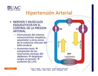 Hipertensión Arterial
• NERVIOS Y MUSCULOS
  ESQUELETICOS EN EL
  CONTROL DE LA PRESION
  ARTERIAL
  – Estimulación del sistema
    vasoconstrictor simpático,
    vasomotor y otras zonas
    de la sustancia reticular del
    tallo cerebral
  – Aumentan tono
    compresión de los
    reservorios venosos del
    abdomen desplazan
    sangre al corazón
    aumento GC y PA
 