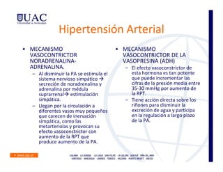 Hipertensión Arterial
• MECANISMO                             • MECANISMO
  VASOCONTRICTOR                          VASOCONTRICTOR DE LA
  NORADRENALINA-                          VASOPRESINA (ADH)
  ADRENALINA.                              – El efecto vasoconstrictor de
  – Al disminuir la PA se estimula el        esta hormona es tan potente
    sistema nervioso simpático               que puede incrementar las
    secreción de noradrenalina y             cifras de la presión media entre
    adrenalina por médula                    35-30 mmHg por aumento de
    suprarrenal estimulación                 la RPT.
    simpática.                             – Tiene acción directa sobre los
  – Llegan por la circulación a              riñones para disminuir la
    diferentes vasos muy pequeños            excreción de agua y participa
    que carecen de inervación                en la regulación a largo plazo
    simpática, como las                      de la PA.
    metarteriolas y provocan su
    efecto vasoconstrictor con
    aumento de la RPT que
    produce aumento de la PA.
 