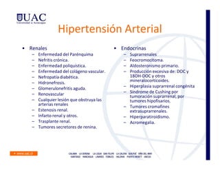 Hipertensión Arterial
• Renales                                  • Endocrinas
   –   Enfermedad del Parénquima              –   Suprarrenales
   –   Nefritis crónica.                      –   Feocromocitoma.
   –   Enfermedad poliquística.               –   Aldosteronismo primario.
   –   Enfermedad del colágeno vascular.      –   Producción excesiva de: DOC y
   –   Nefropatía diabética.                      18OH-DOC y otros
   –   Hidronefrosis.                             mineralocorticoides.
   –   Glomerulonefritis aguda.               –   Hiperplasia suprarrenal congénita
   –   Renovascular                           –   Síndrome de Cushing por
                                                  tumoración suprarrenal, por
   –   Cualquier lesión que obstruya las          tumores hipofisarios.
       arterias renales                       –   Tumores cromafines
   –   Estenosis renal.                           extrasuprarrenales.
   –   Infarto renal y otros.                 –   Hiperparatiroidismo.
   –   Trasplante renal.                      –   Acromegalia.
   –   Tumores secretores de renina.
 