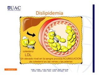 Dislipidemia
 